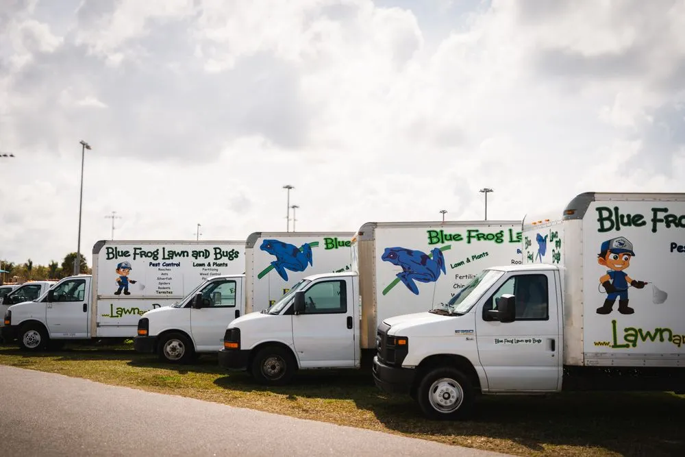 Expert yard maintenance in Sarasota, FL - Blue Frog Lawn and Bugs