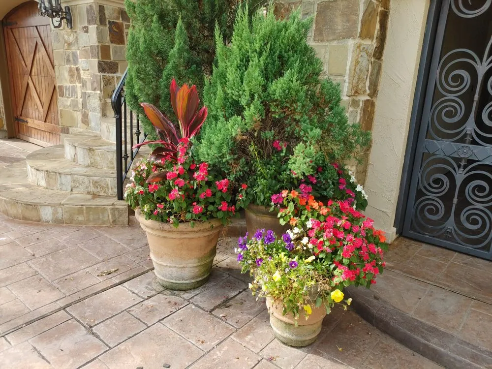 Local landscape installation for outdoor upgrades in Houston, TX by Blue Goat Landscape Services