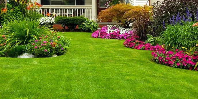 Reliable landscaping services for beautiful yards across Houston, TX - Blue Goat Landscape Services