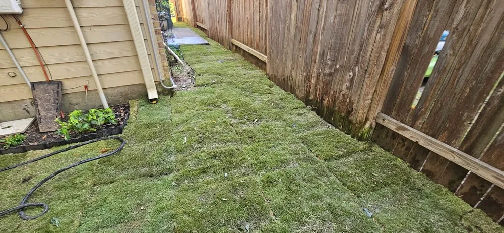 Affordable yard maintenance in Houston, TX by Blue Goat Landscape Services