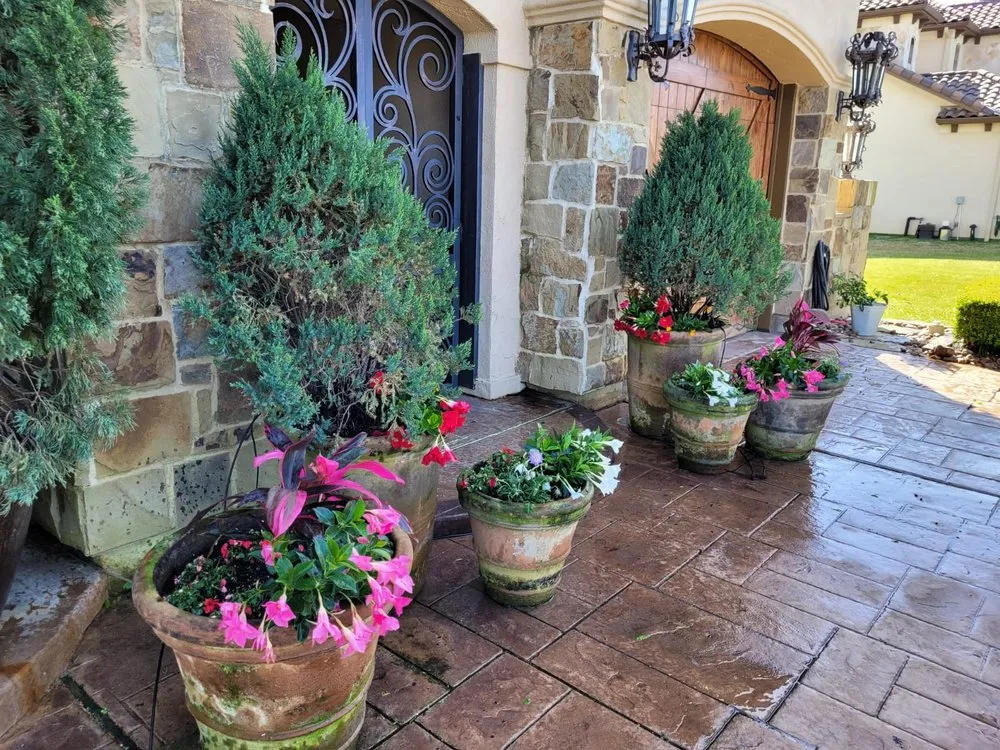 Trusted garden landscaping in Houston, TX by Blue Goat Landscape Services