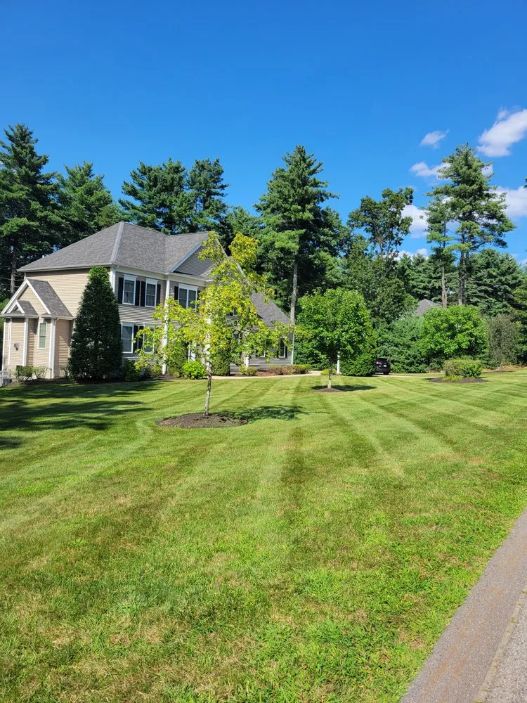 Professional outdoor landscaping experts serving Stoughton, MA - Blue Grass Landscapes
