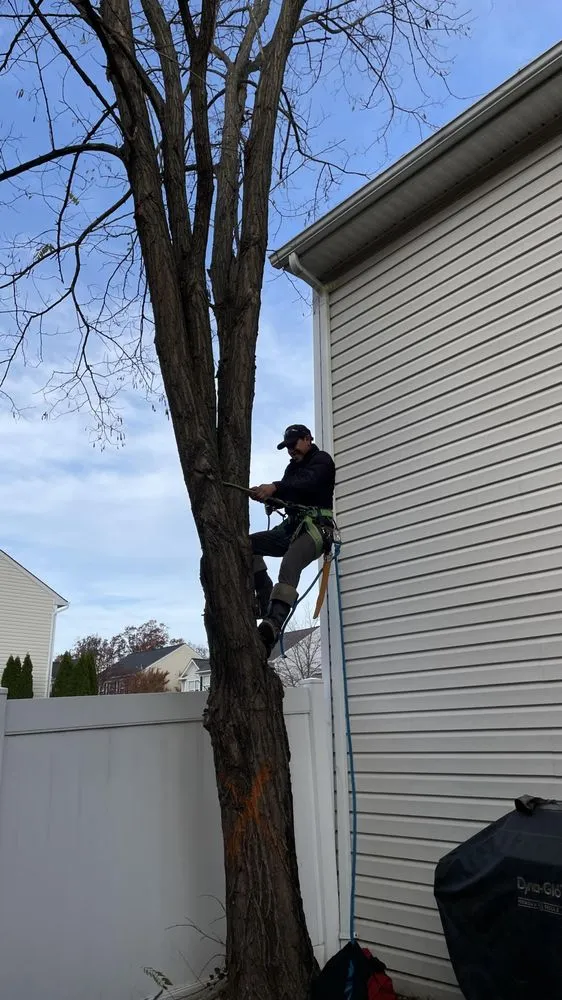 Trusted yard cleanup service experts serving Dale City, VA - Blue Green Lawn & Landscape