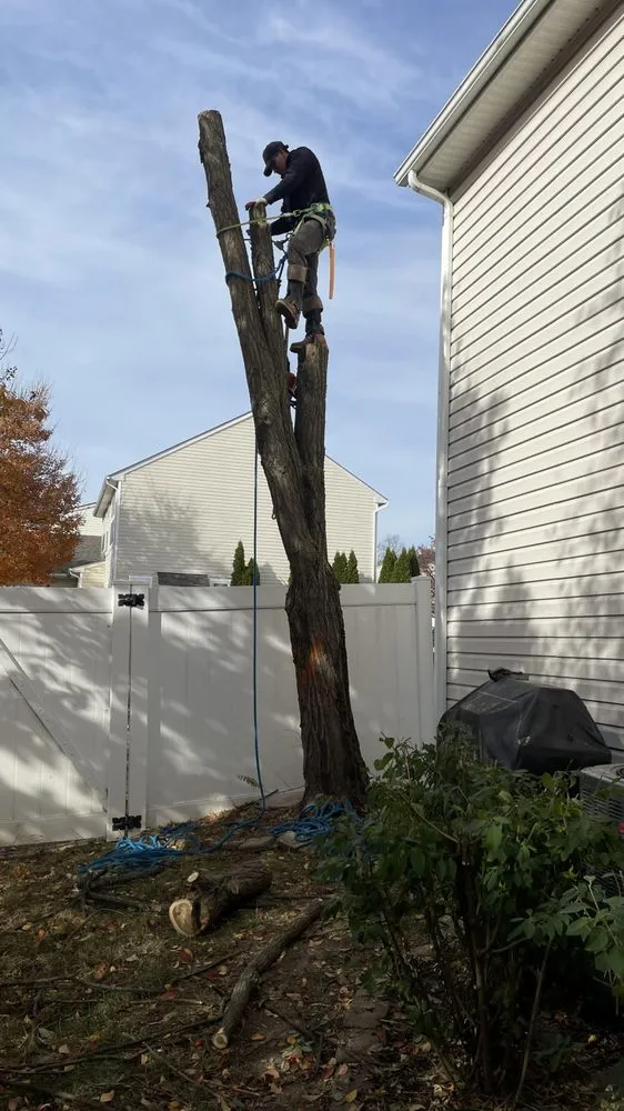 Trusted landscaping services in Dale City, VA by Blue Green Lawn & Landscape