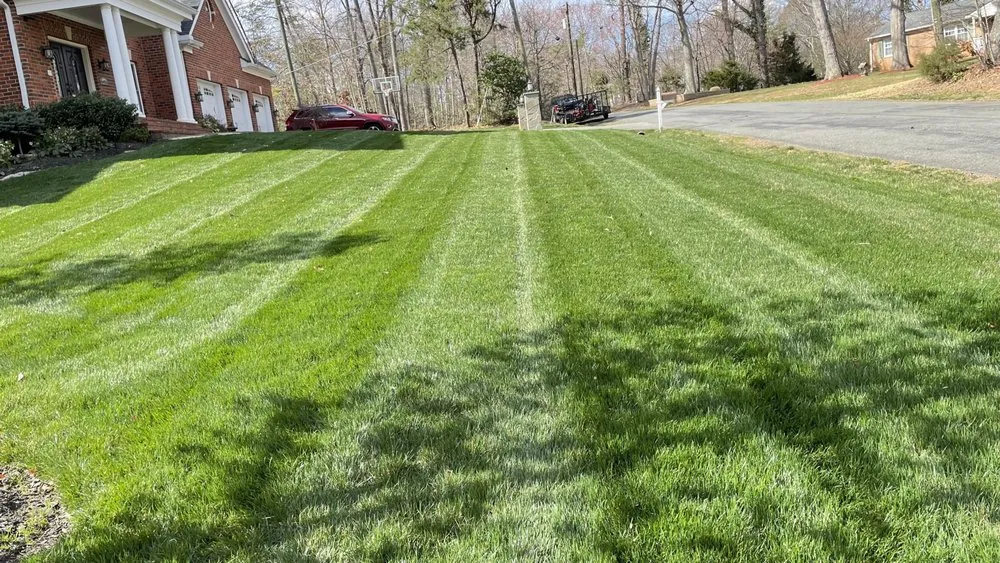 Expert yard maintenance for year-round maintenance across Dale City, VA - Blue Green Lawn & Landscape