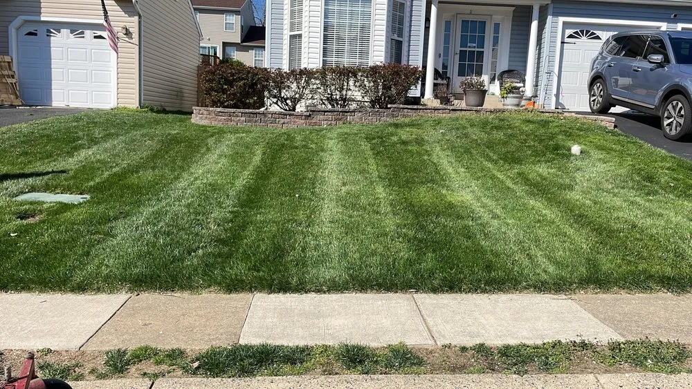 Professional yard maintenance in Dale City, VA - Blue Green Lawn & Landscape