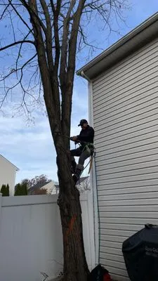 Blue Green Lawn & Landscape Logo