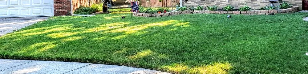 Top-rated yard cleanup service for outdoor upgrades in Toledo, OH by Blue Green Lawn Care