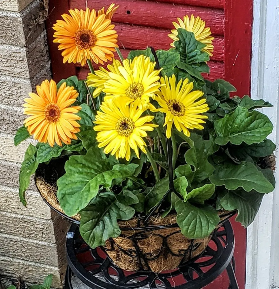 Top-rated landscaping services with custom design across Toledo, OH - Blue Green Lawn Care