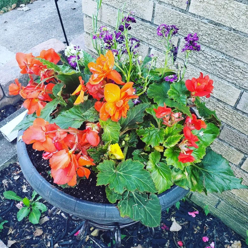 Custom landscape design for beautiful yards across Toledo, OH - Blue Green Lawn Care