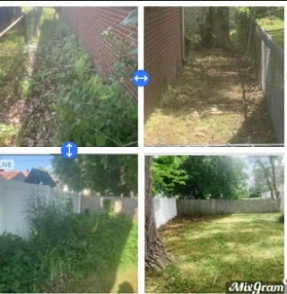 Professional yard cleanup service near you in Toledo, OH by Blue Green Lawn Care