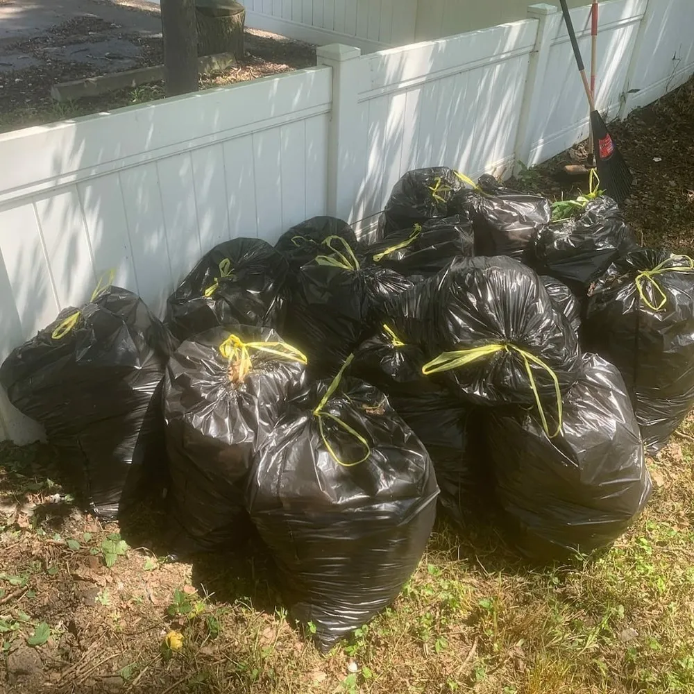 Affordable yard cleanup service for beautiful yards in Toledo, OH by Blue Green Lawn Care