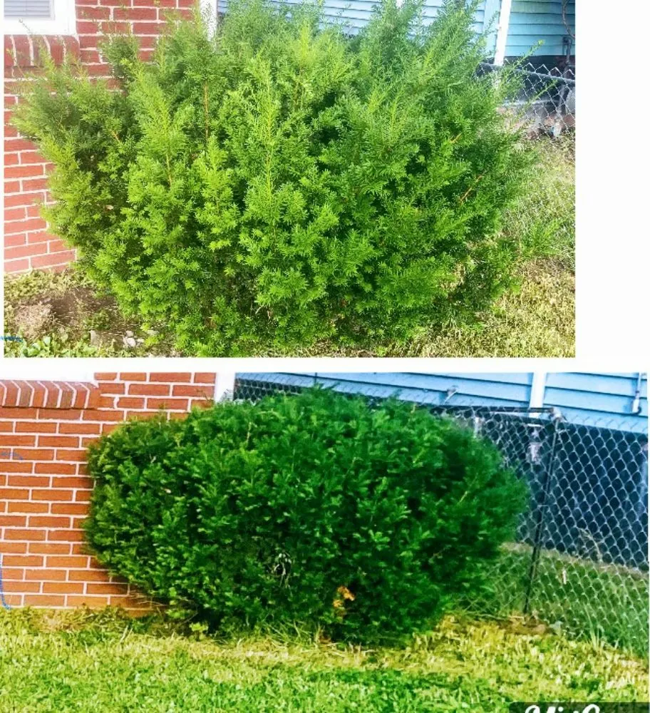 Expert outdoor landscaping for outdoor upgrades in Toledo, OH by Blue Green Lawn Care