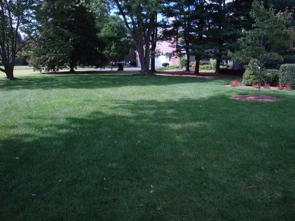 Reliable lawn mowing service in Simsbury, CT by Blue Heron Landscape Design LLC