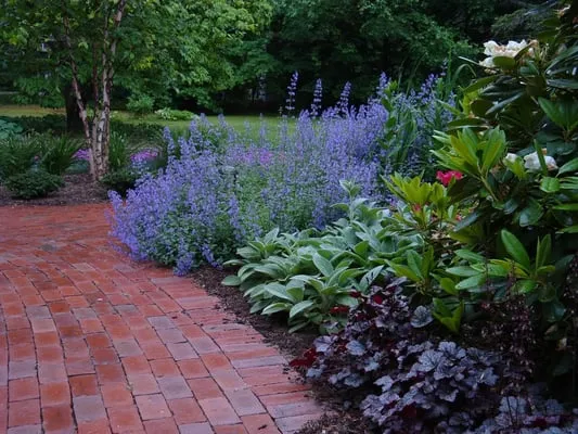 Blue Heron Landscape Design LLC