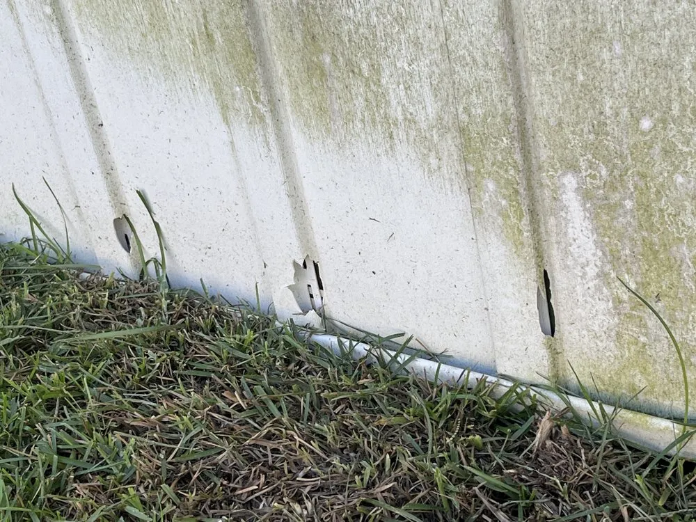 Custom landscape design experts serving Foley, AL - Blue Heron Landscape