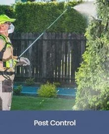 Trusted outdoor landscaping in Foley, AL - Blue Heron Landscape