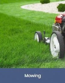 Reliable lawn care service for beautiful yards in Foley, AL by Blue Heron Landscape