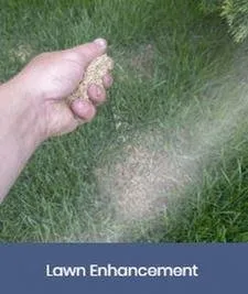 Professional yard maintenance for beautiful yards across Foley, AL - Blue Heron Landscape