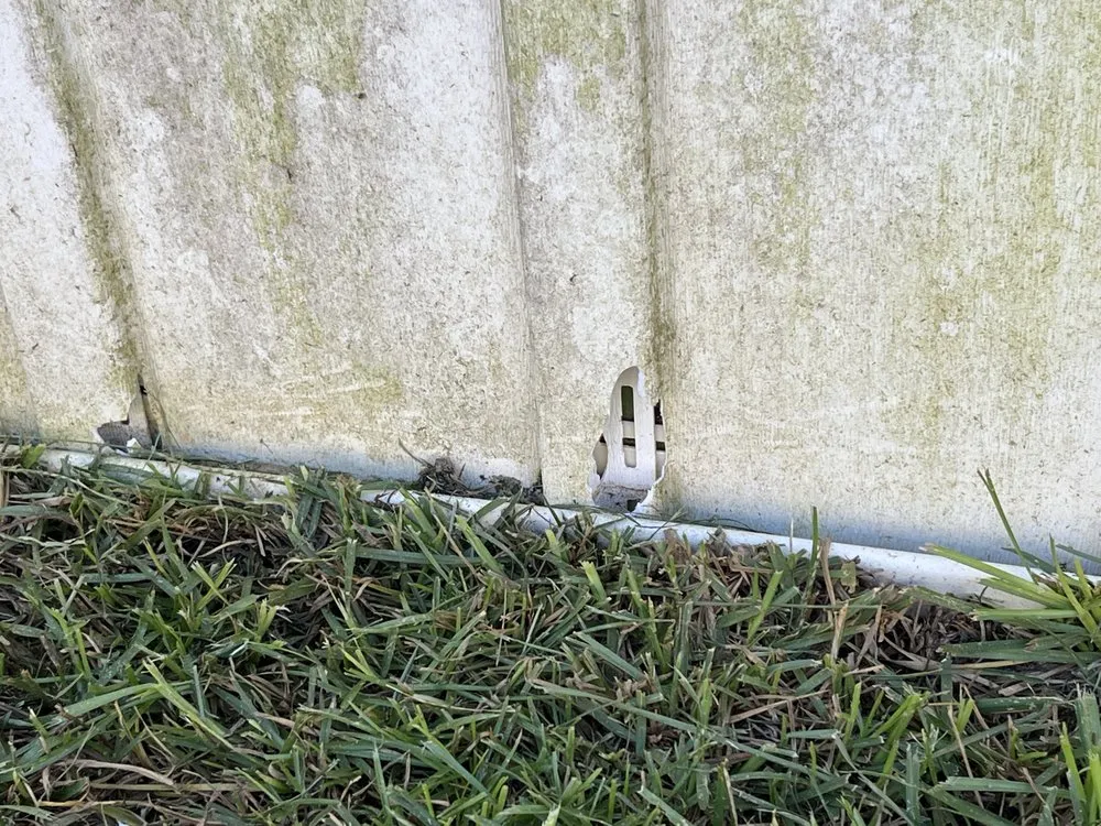 Professional landscape installation for beautiful yards in Foley, AL by Blue Heron Landscape