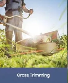 Top-rated landscape installation for year-round maintenance across Foley, AL - Blue Heron Landscape