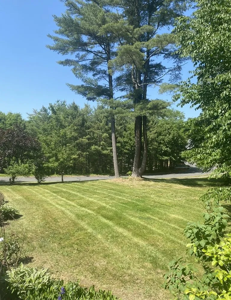 Reliable lawn mowing service for homes across Mansfield, MA - Blue-Hill Landscaping