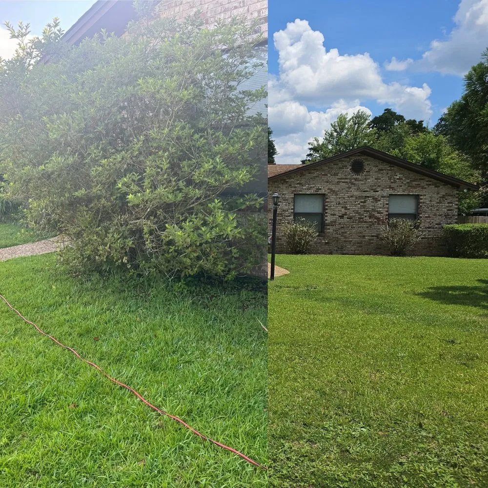 Top-rated landscape installation in Gonzalez, FL - Blue Horizon Home Care