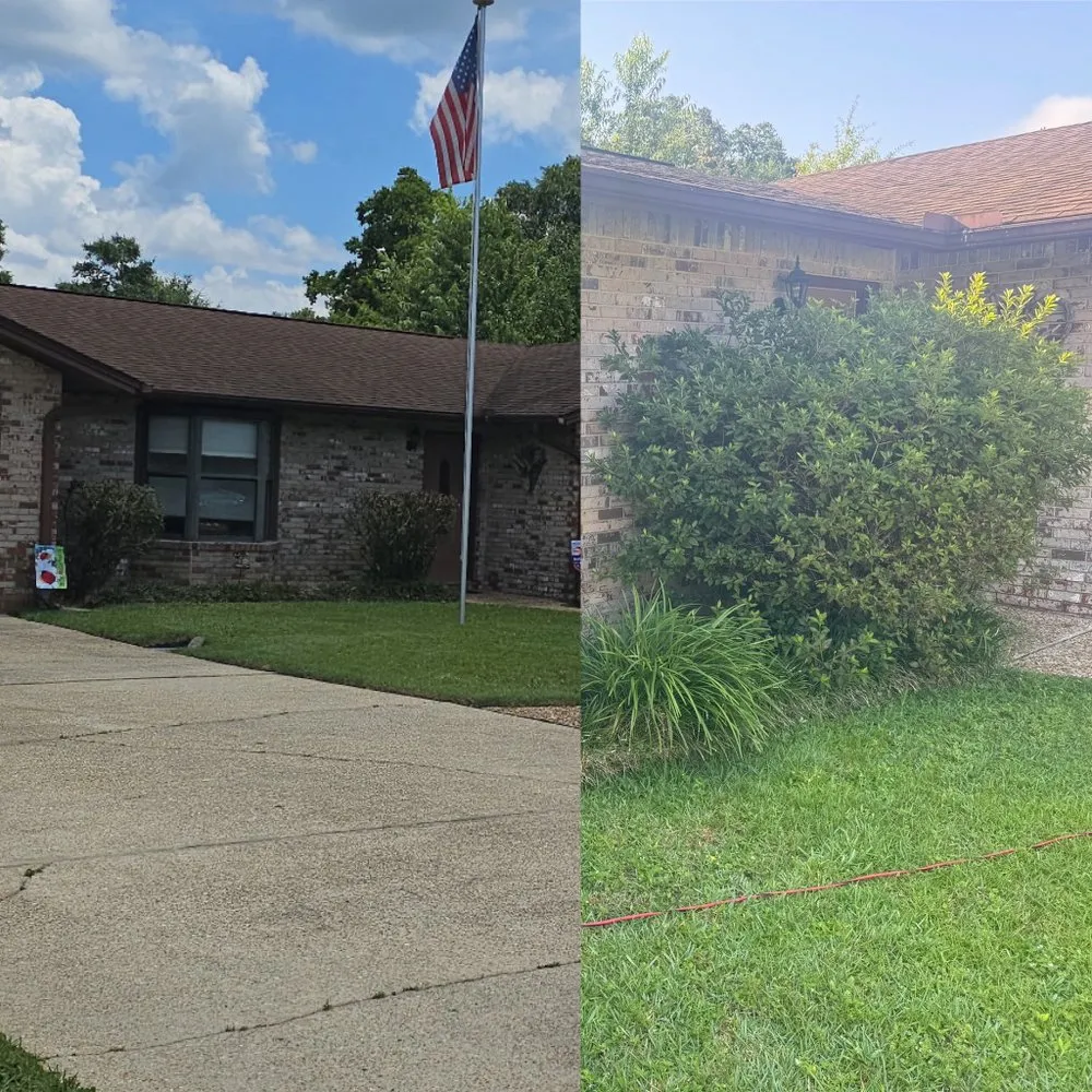 Custom landscape installation experts serving Gonzalez, FL - Blue Horizon Home Care