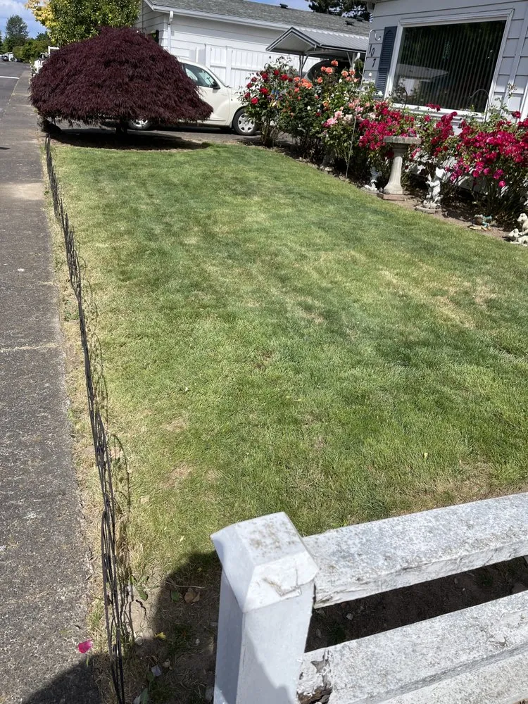 Top-rated landscape design in Salem, OR - Blue Horizon Landscape