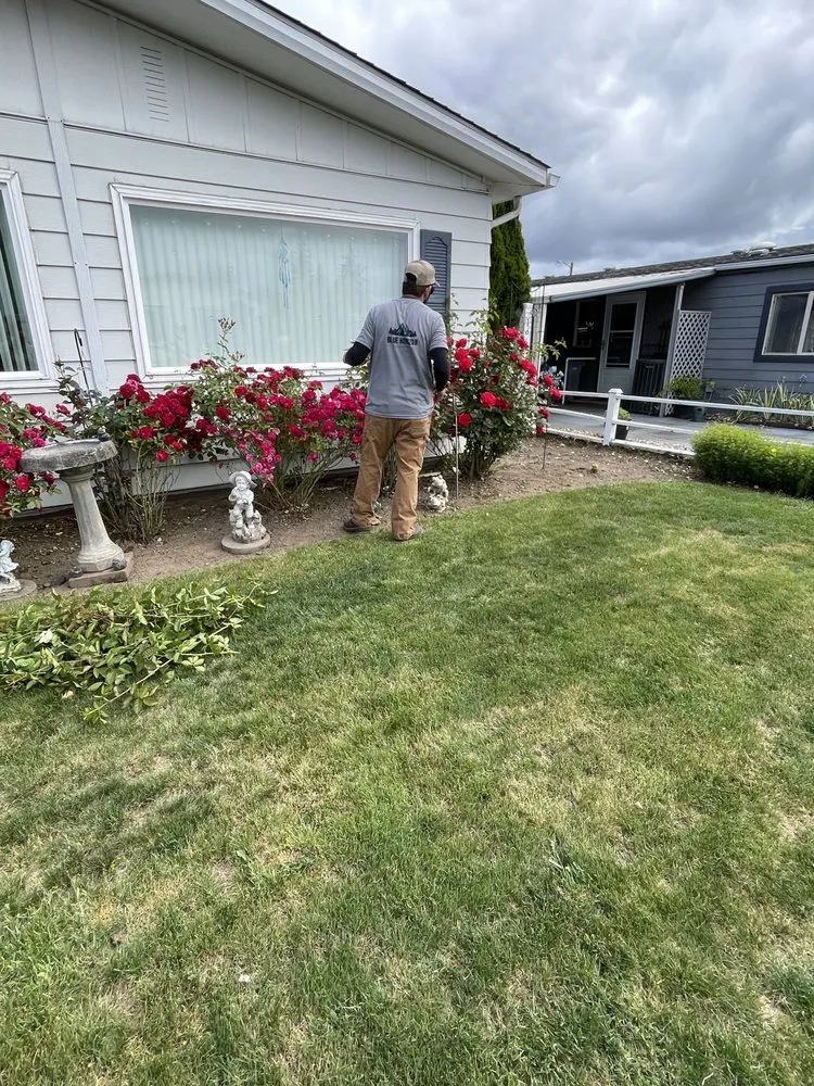 Top-rated landscaping services near you in Salem, OR by Blue Horizon Landscape