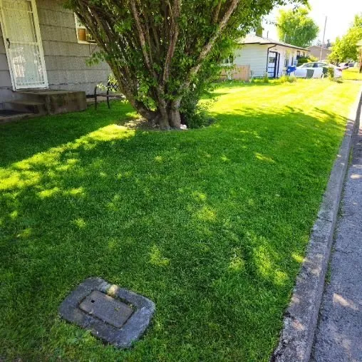 Reliable outdoor landscaping in Salem, OR by Blue Horizon Landscape