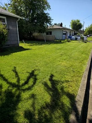 Blue Horizon Landscape Logo