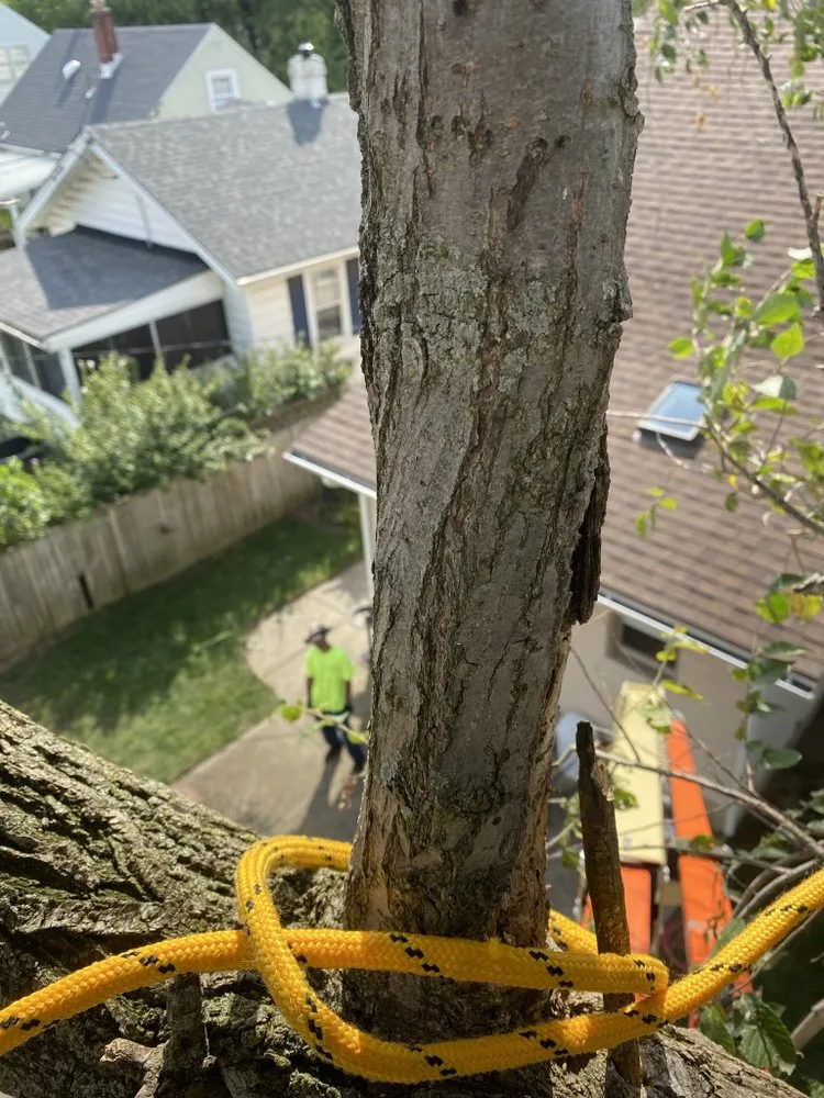 Top-rated lawn mowing service with custom design in Trotwood, OH by Blue Hornet Landscaping