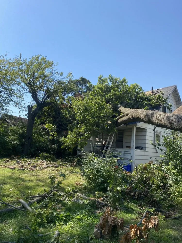 Expert landscape installation in Trotwood, OH by Blue Hornet Landscaping