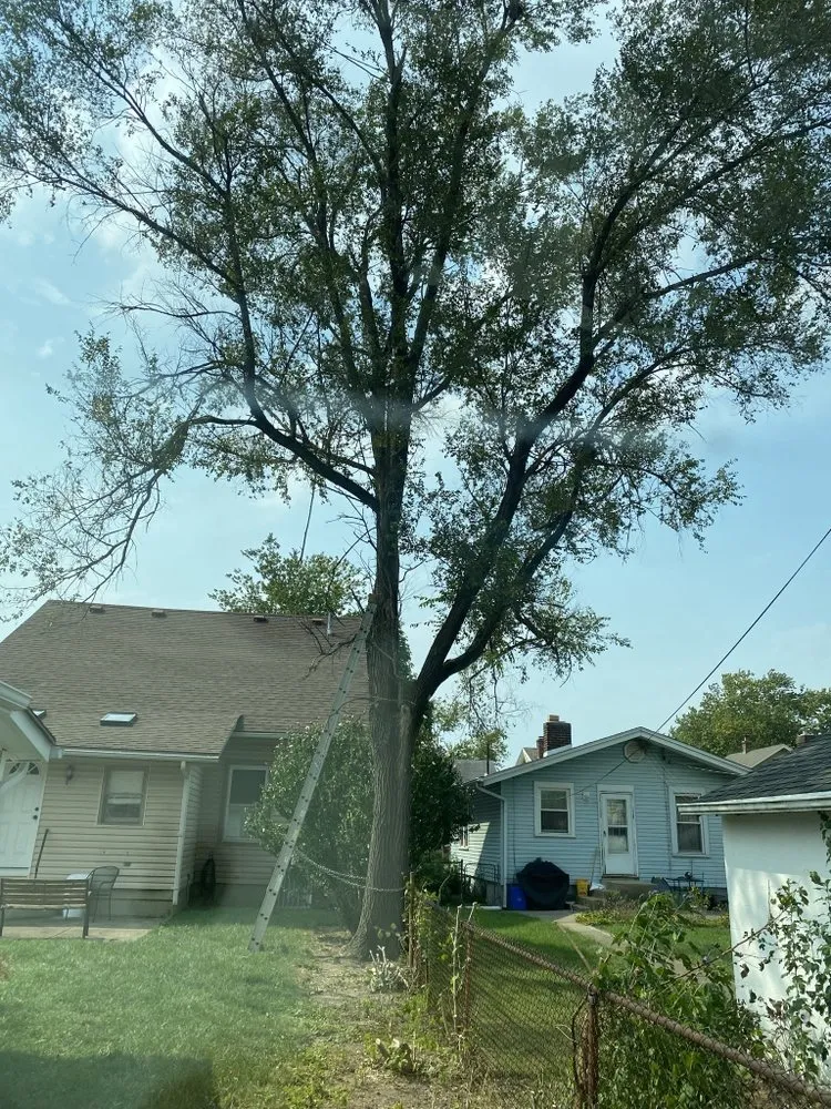 Affordable landscape design for residential properties in Trotwood, OH by Blue Hornet Landscaping