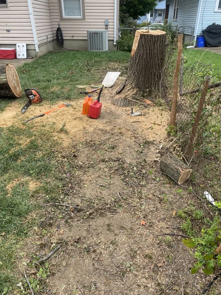 Trusted yard maintenance in Trotwood, OH by Blue Hornet Landscaping