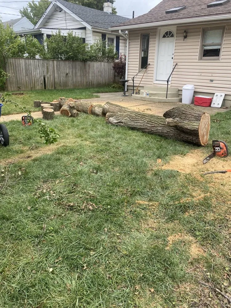 Professional landscape installation in Trotwood, OH by Blue Hornet Landscaping