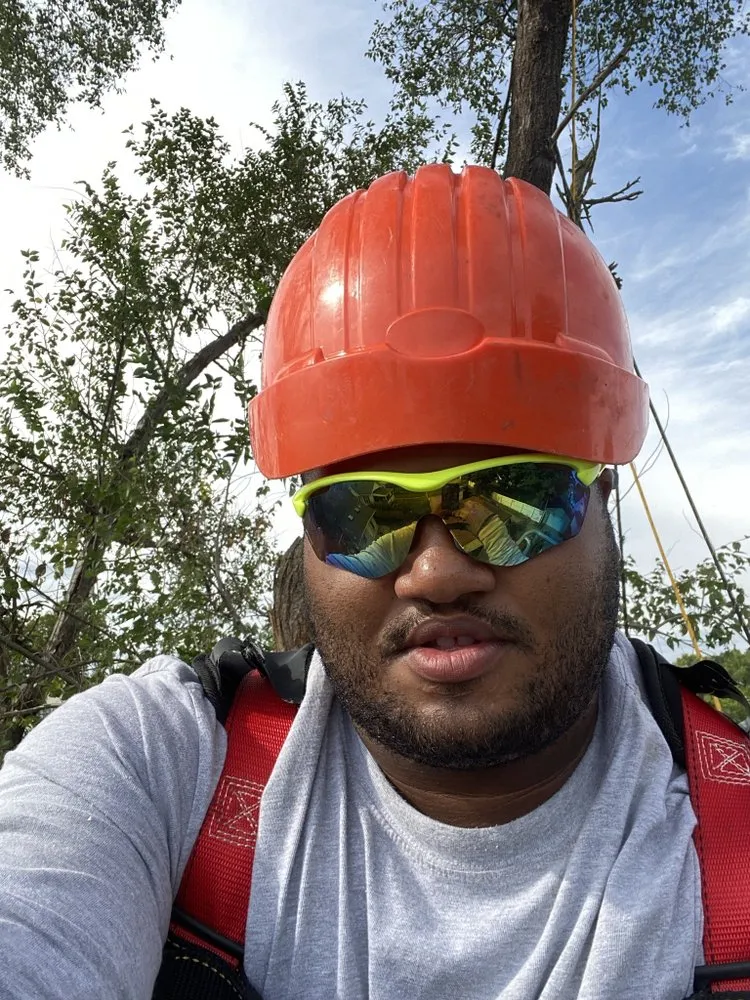 Professional garden landscaping in Trotwood, OH - Blue Hornet Landscaping