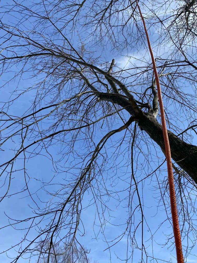 Professional lawn mowing service with custom design in Trotwood, OH by Blue Hornet Landscaping