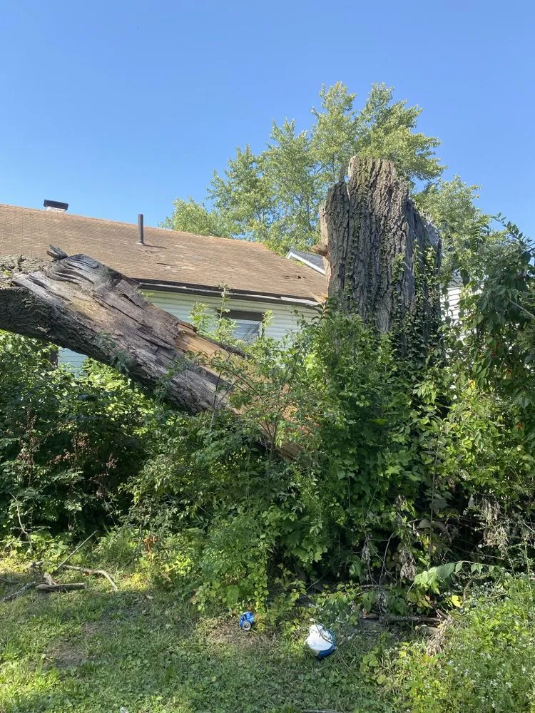 Custom garden landscaping experts serving Trotwood, OH - Blue Hornet Landscaping