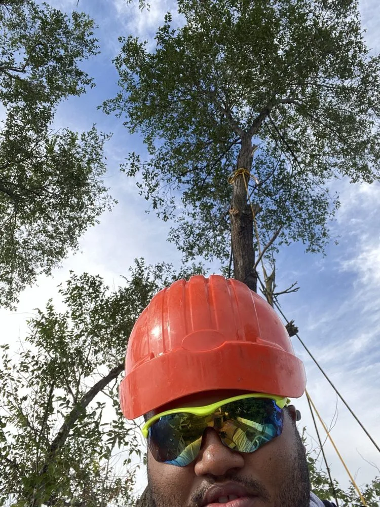 Local garden landscaping with custom design across Trotwood, OH - Blue Hornet Landscaping