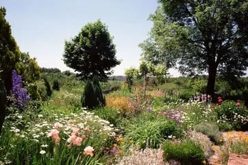 Affordable lawn care service for outdoor upgrades across Suamico, WI - Blue Horse Design Company