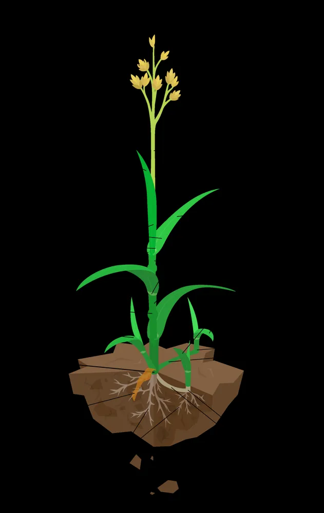 Reliable yard cleanup service in Pasadena, CA - Blue Ice Heating & Cooling