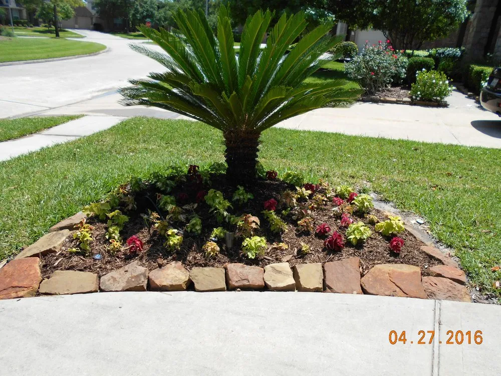Custom landscaping services experts serving Houston, TX - Blue Irrigation