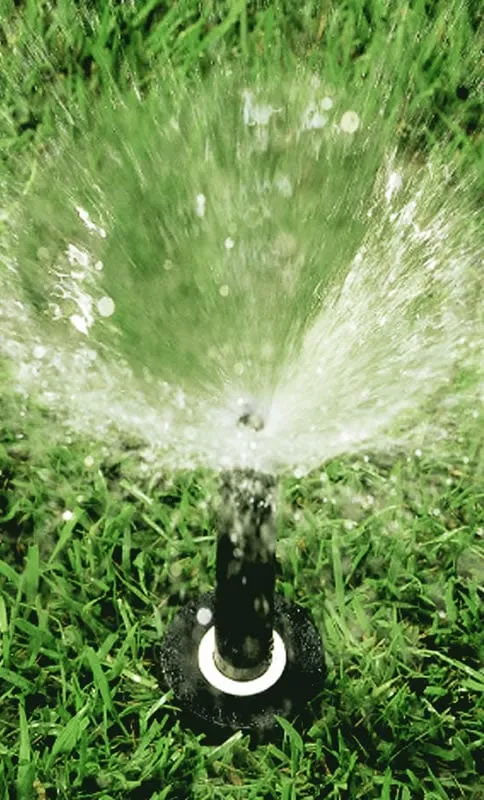 Expert garden landscaping experts serving Houston, TX - Blue Irrigation
