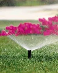 Custom residential landscaping experts serving Houston, TX - Blue Irrigation