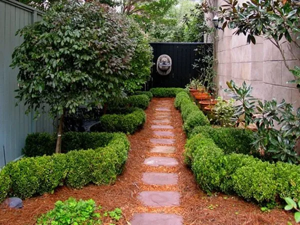 Trusted yard maintenance in Houston, TX by Blue Irrigation