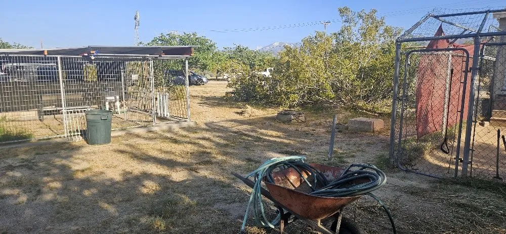 Professional yard maintenance for residential properties across Lancaster, CA - Blue Jay Landscaping