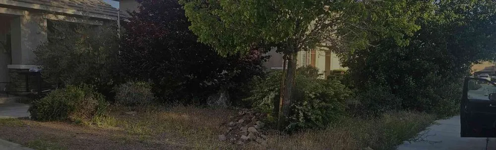 Expert yard maintenance in Lancaster, CA - Blue Jay Landscaping