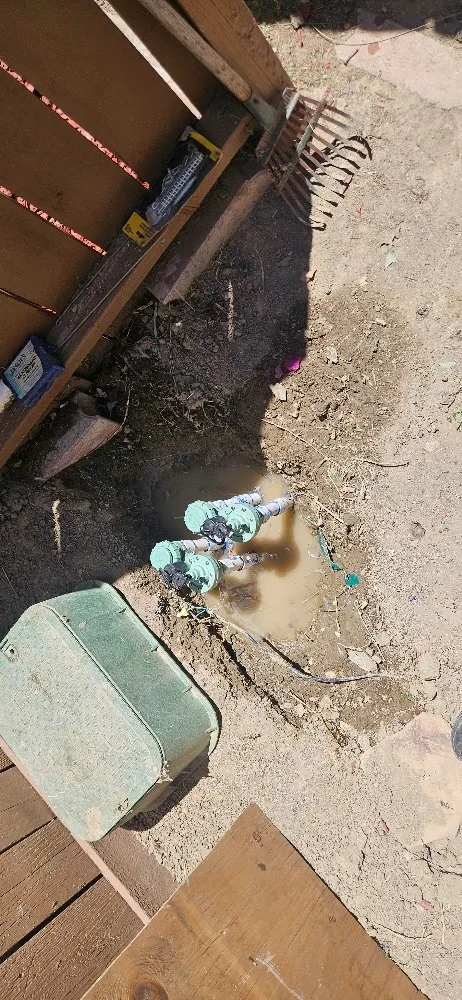 Reliable yard cleanup service in Lancaster, CA - Blue Jay Landscaping